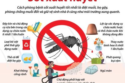 Bài tuyên truyền công tác phòng chống bệnh sốt xuất huyết Dengue của trường Mầm non Ea Pốk